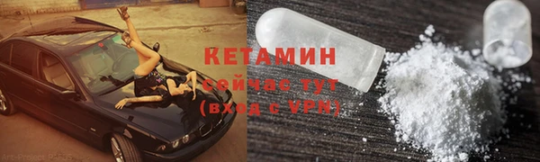 индика Осинники