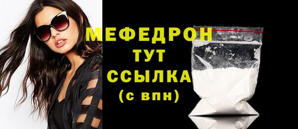 индика Осинники