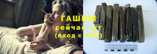 индика Осинники