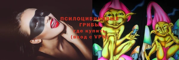 индика Осинники