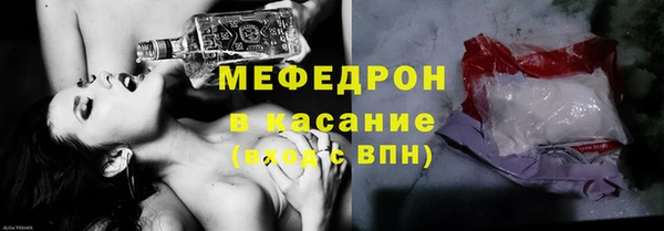 индика Осинники