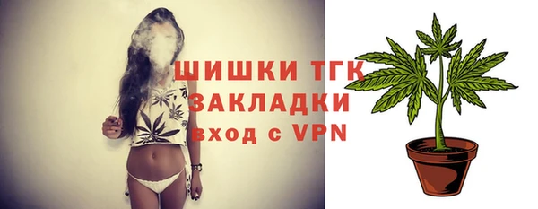индика Осинники