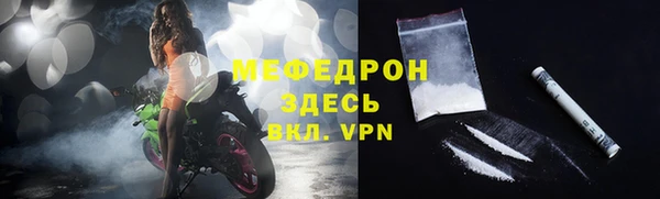 индика Осинники
