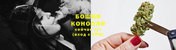 индика Осинники