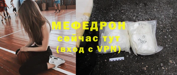 индика Осинники