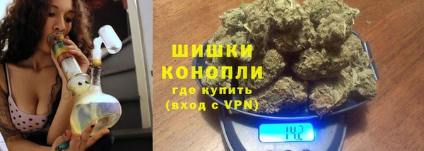 индика Осинники