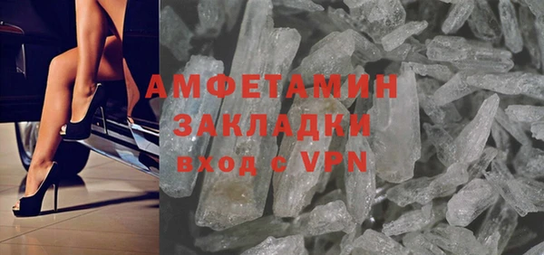индика Осинники