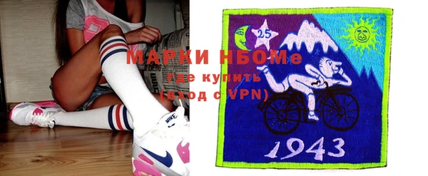 индика Осинники