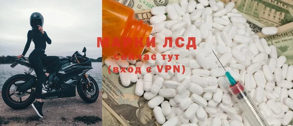 индика Осинники