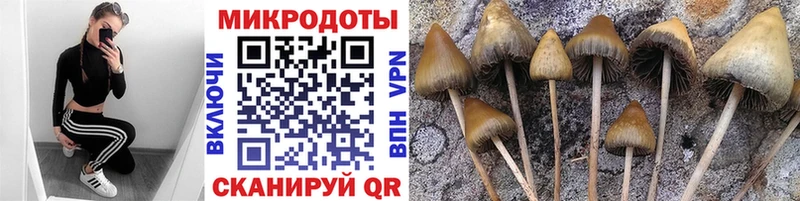 продажа наркотиков  hydra рабочий сайт  Псилоцибиновые грибы Psilocybine cubensis  Ялуторовск 