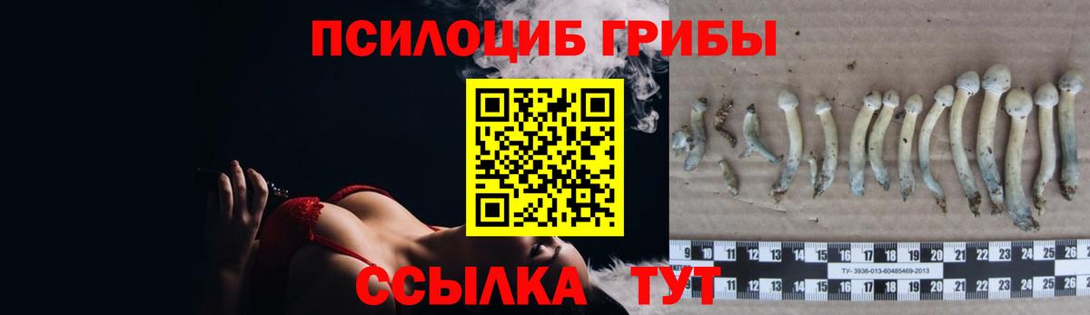 даркнет сайт  Галлюциногенные грибы Cubensis  Вход с VPN  Ялуторовск 
