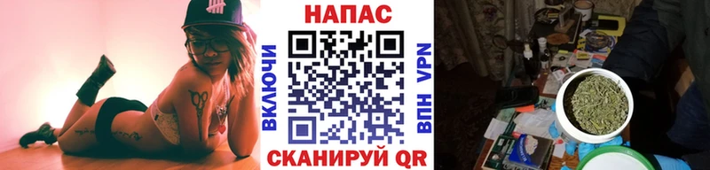 цена   Ялуторовск  Каннабис ГИДРОПОН 